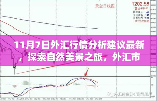 第1905页