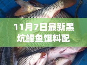 联系我们 第317页