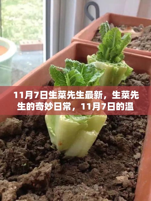 精品展示 第340页