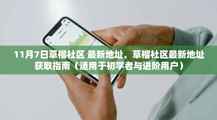 联系我们 第310页