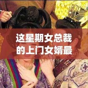 精品展示 第297页