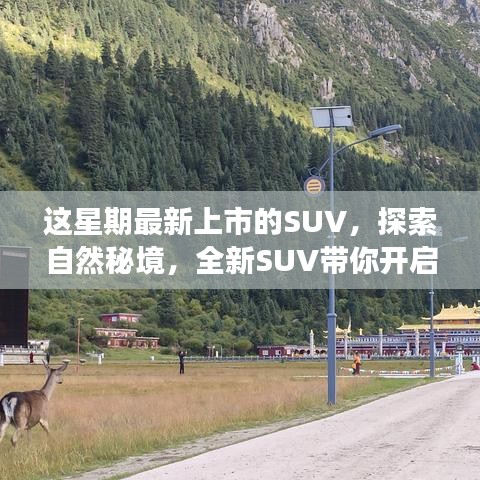 没精打采 第26页