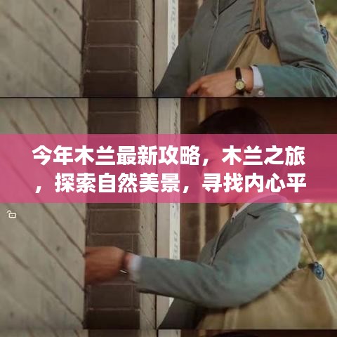 容光焕发 第23页