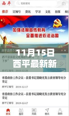 11月15日西平热点新闻深度解析，最新资讯产品评测报告