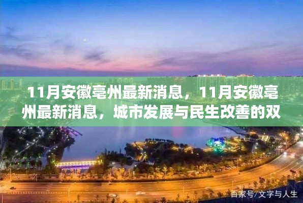 在线留言 第247页