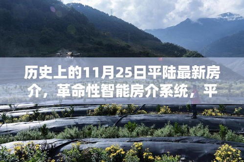 花开无言 第13页