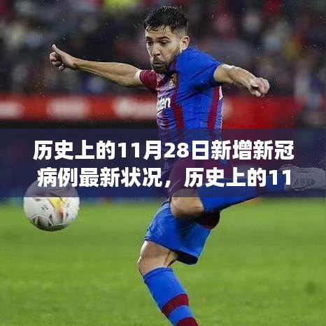全球视角下的深度洞察，历史上的11月28日新增新冠病例最新状况报告分析