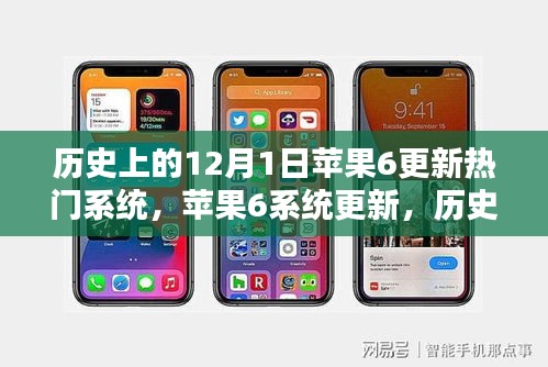 第1246页