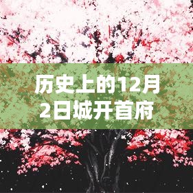 花开无言 第6页