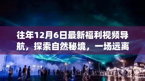 关于我们 第176页