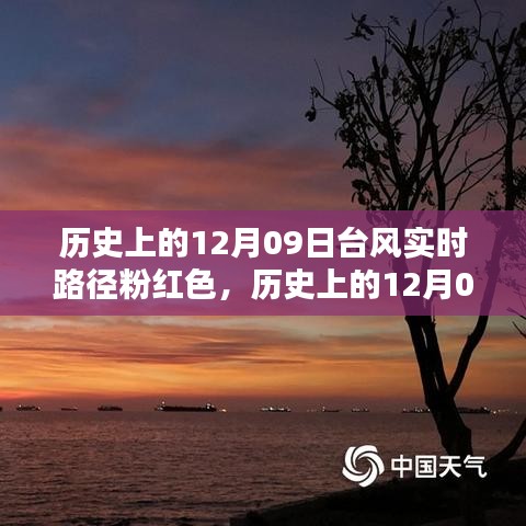 第905页
