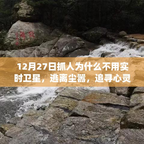 一飞冲天