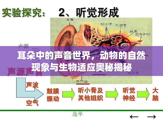 天生万物，唯人为贵 第2页