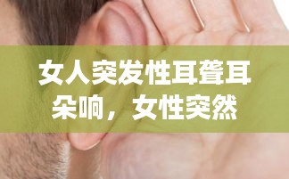 关于我们 第115页