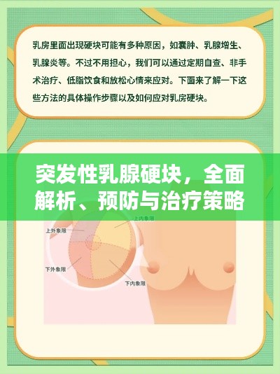 驾轻就熟 第2页