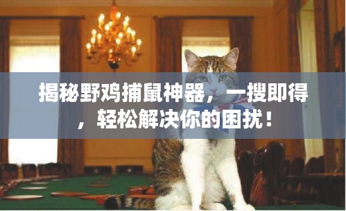 荣华富贵 第2页
