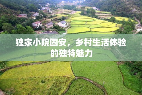 张皇失措 第2页