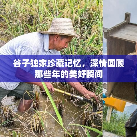 营销网络 第69页