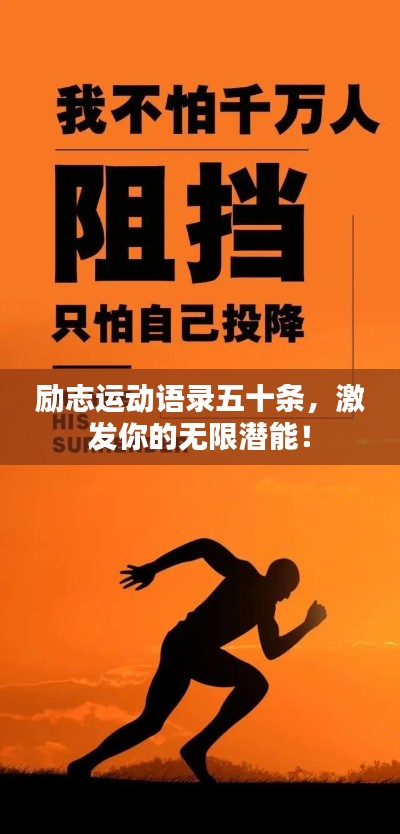新闻中心 第58页