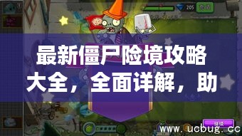 别出新意