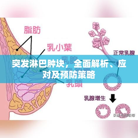 不畏权贵