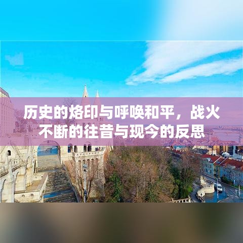 第231页