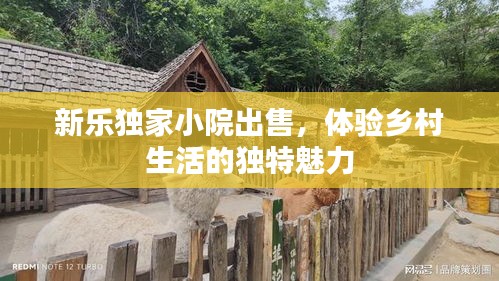 第222页