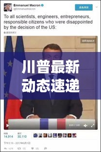 百鸟归巢