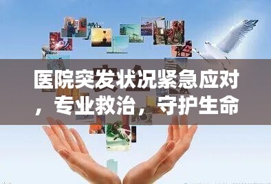 腾龙换鸟