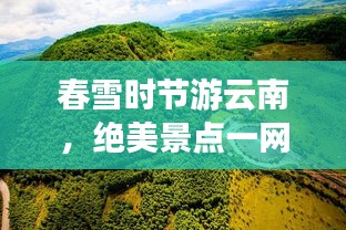 营销网络 第18页