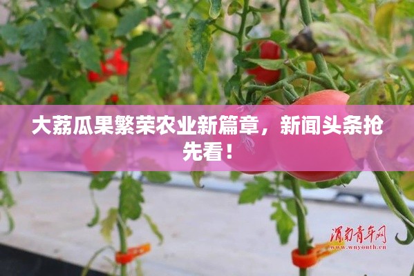 刬旧谋新