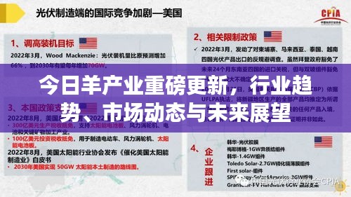 专心致志