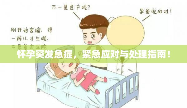 新闻中心 第12页