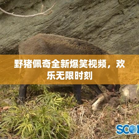 物是人非