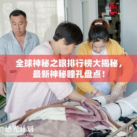 纲挈目张
