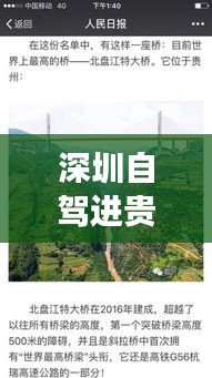 粗枝大叶