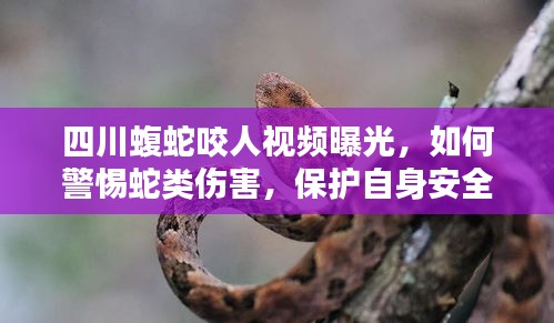 联系我们 第6页
