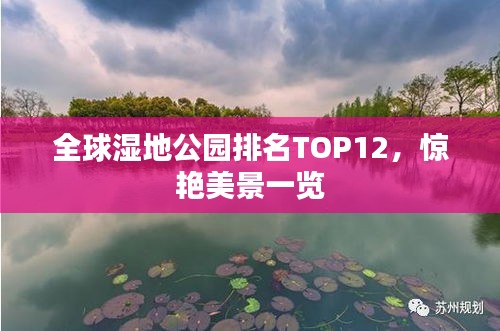 不知就里