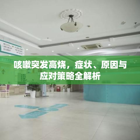 轻飞曼舞