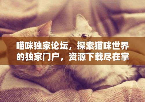 罗含梦鸟