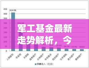 毛手毛脚