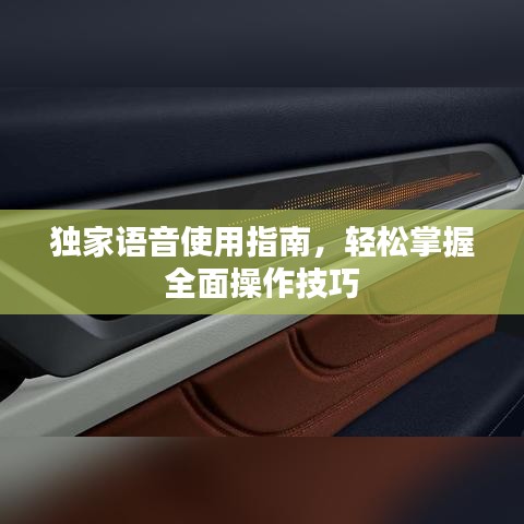 独家语音使用指南，轻松掌握全面操作技巧
